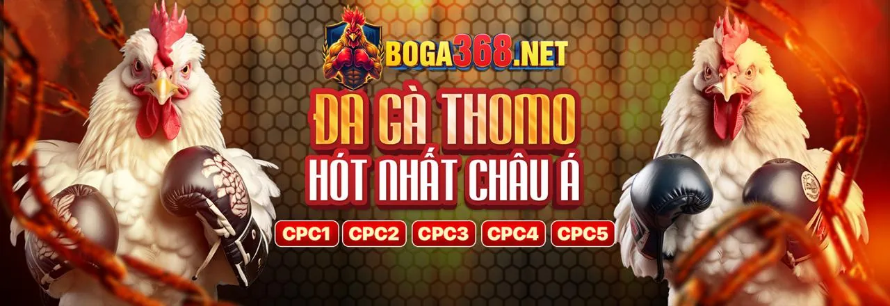 Trải nghiệm đá gà trực tuyến đỉnh cao tại f1680 link